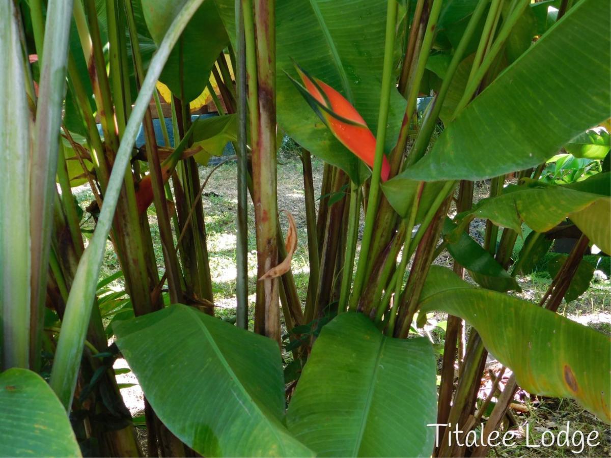 Titalee Lodge 3 Villas Autour D'Une Piscine แซงต์-ฟรองซัวส์ ภายนอก รูปภาพ